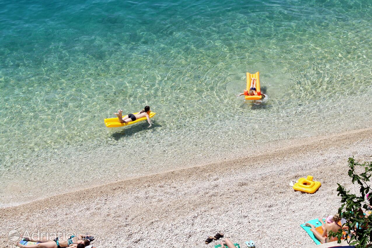La spiaggia più vicina - Appartamenti accanto al mare Podgora, Macarsca - Makarska