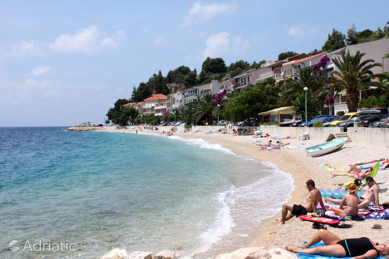 La spiaggia più vicina - Appartamenti accanto al mare Podgora, Macarsca - Makarska