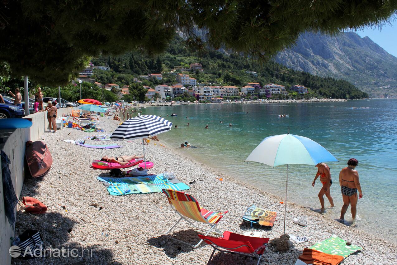 La spiaggia più vicina - Appartamenti accanto al mare Podgora, Macarsca - Makarska