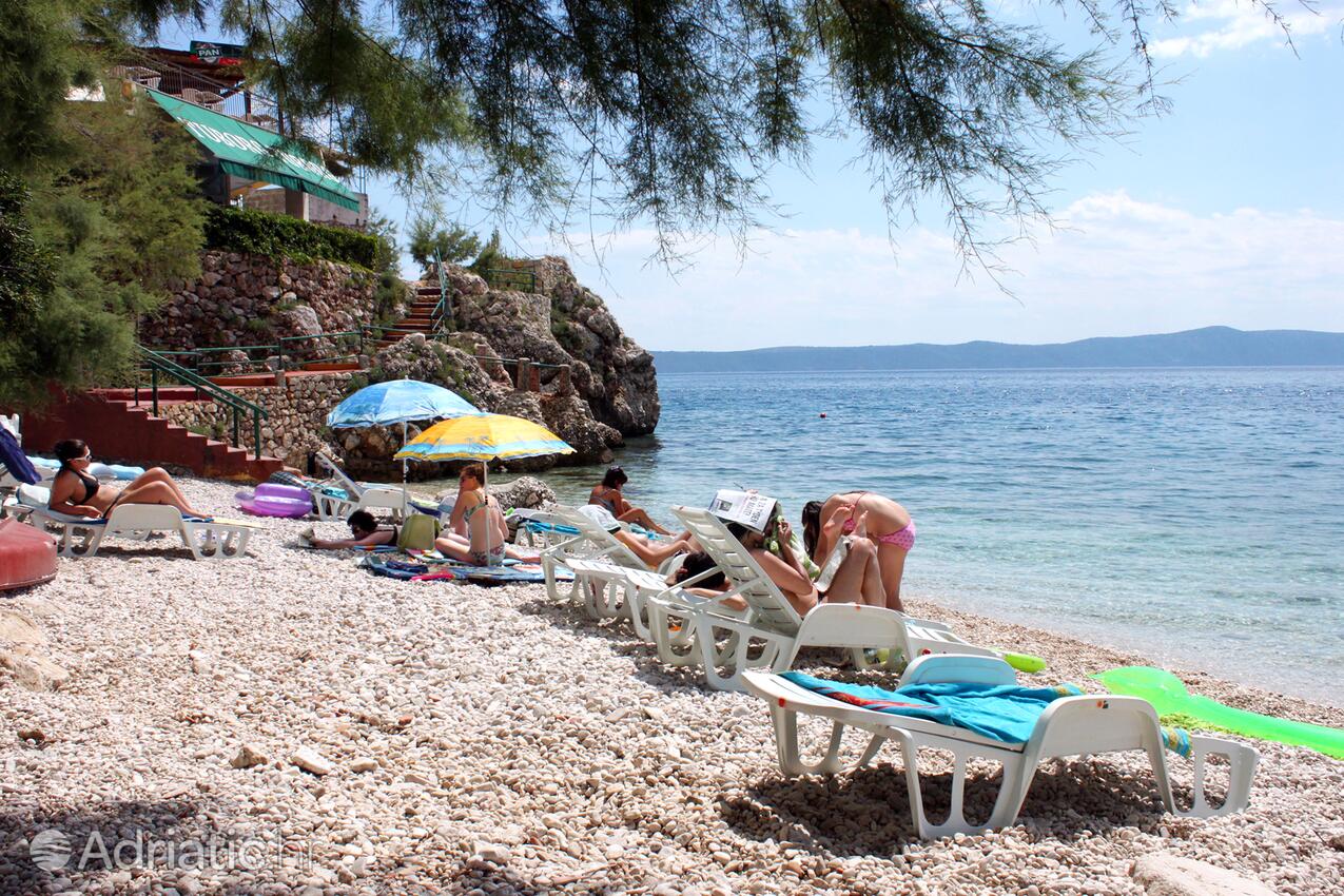 Adriatic.hr