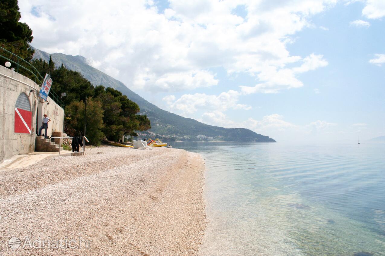 Adriatic.hr