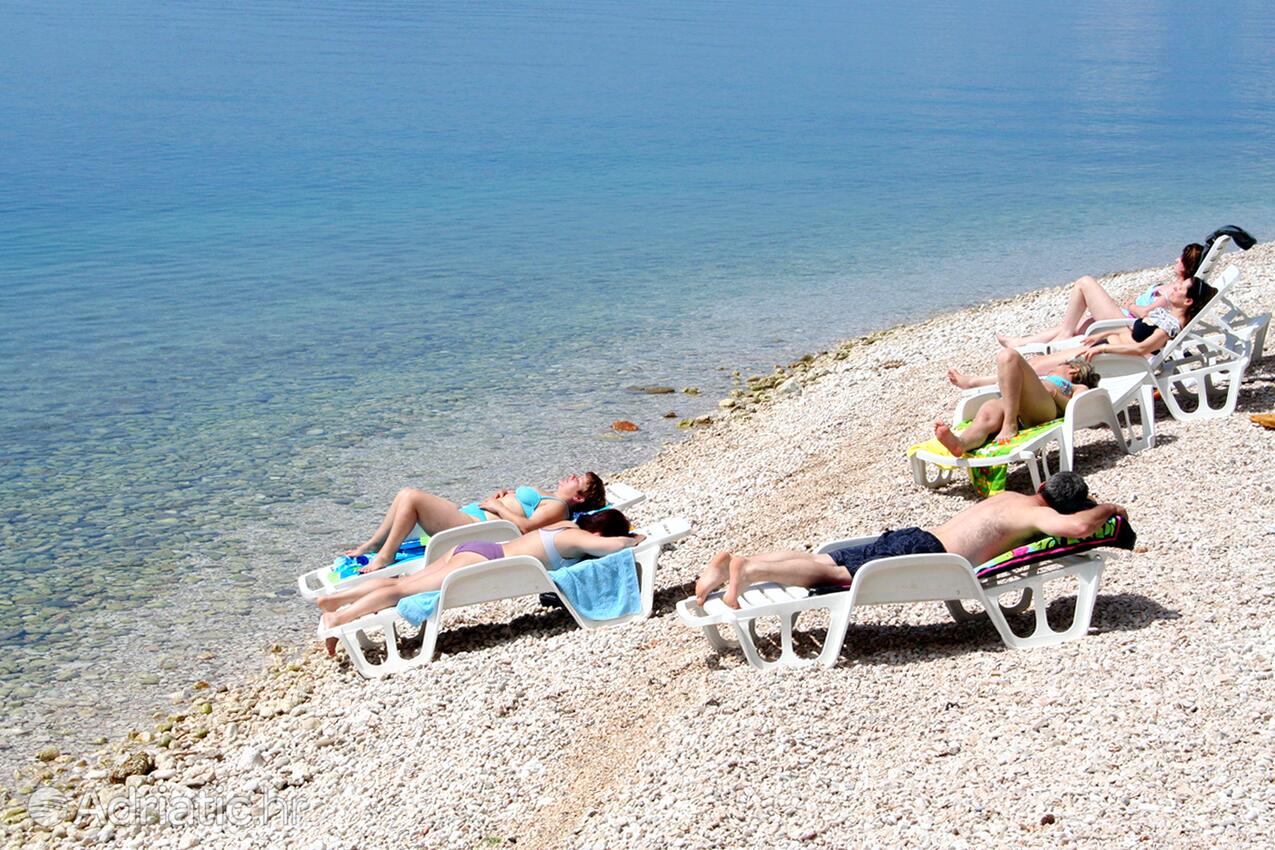 Adriatic.hr