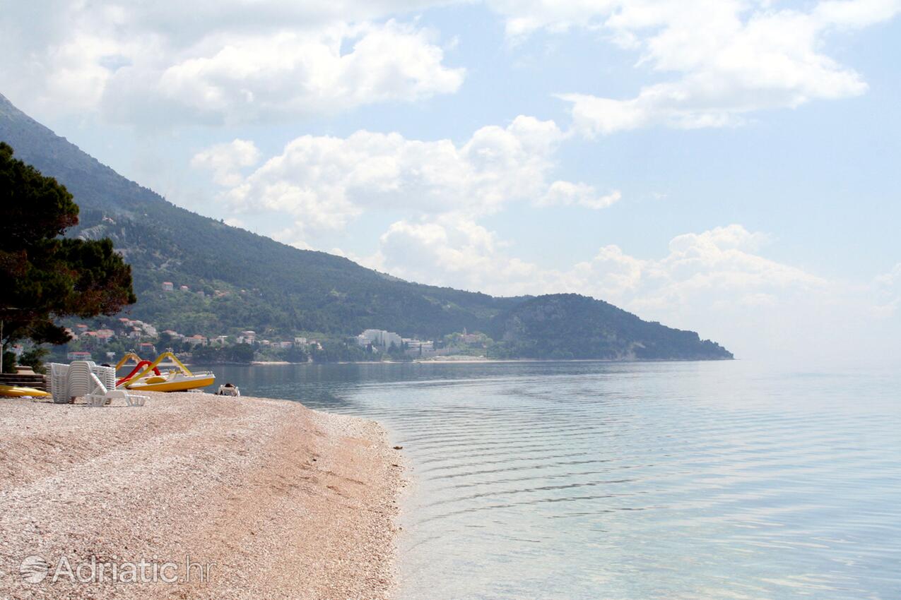 Adriatic.hr