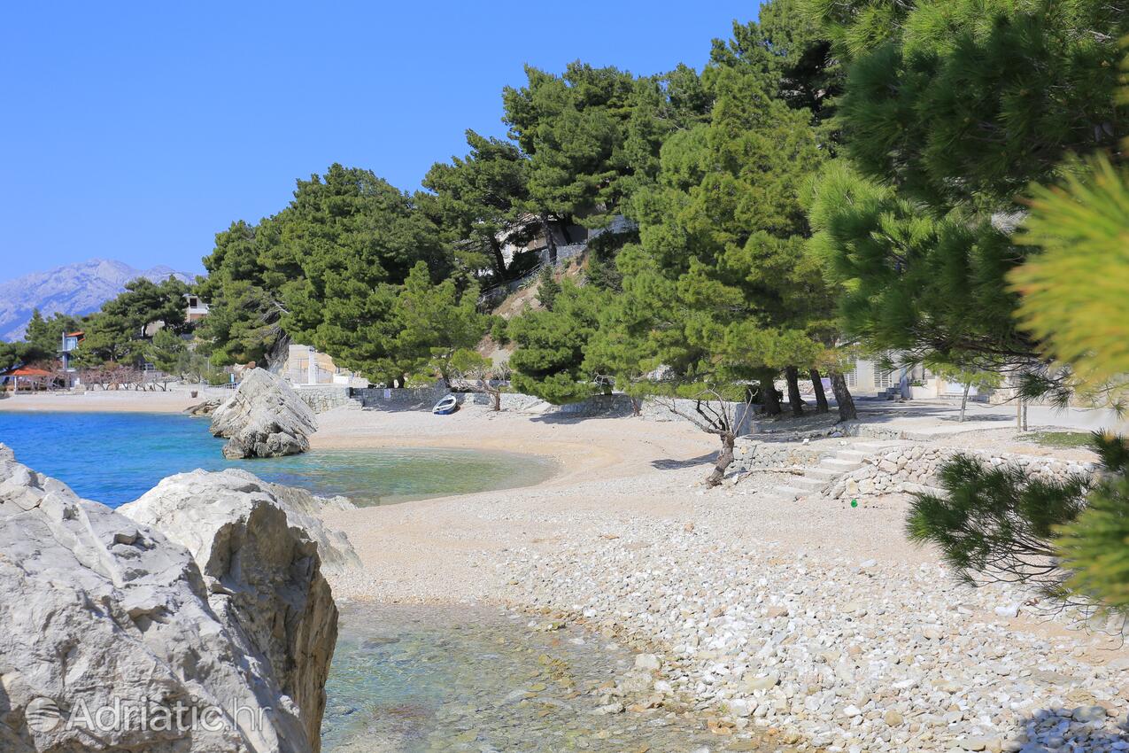 Adriatic.hr