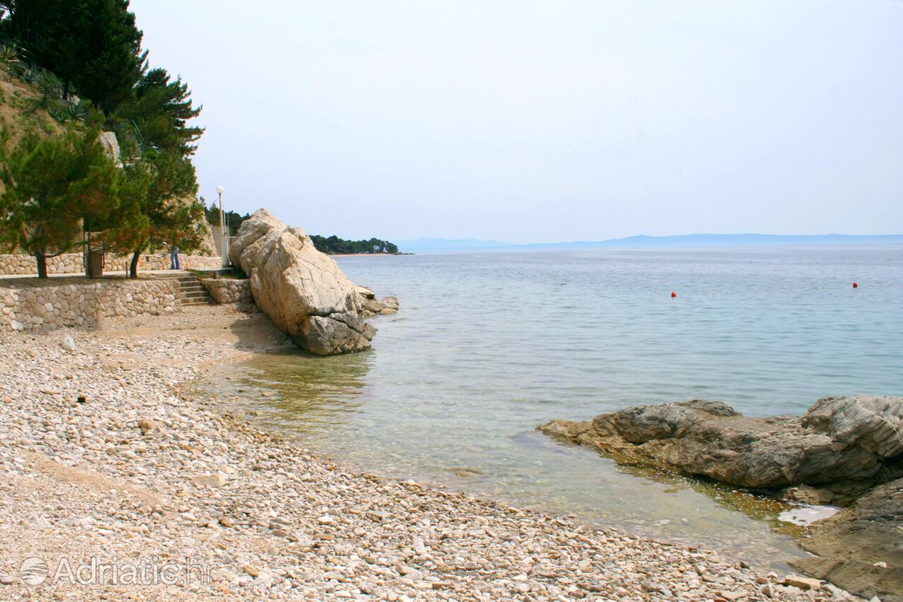Adriatic.hr
