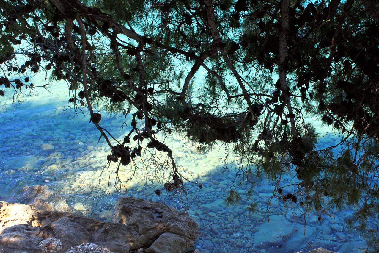 La spiaggia più vicina - Appartamenti accanto al mare Promajna, Macarsca - Makarska