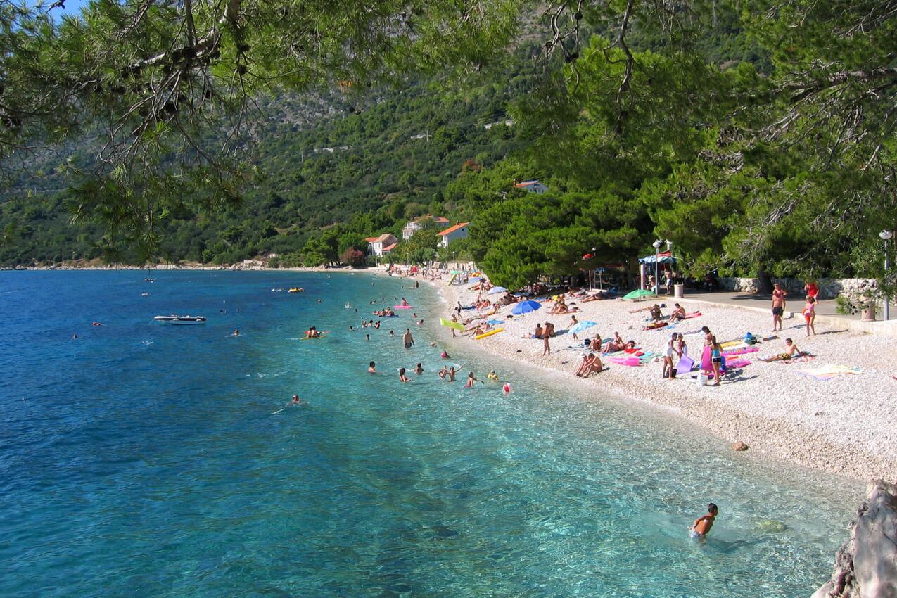 Nearest beach - Apartments by the sea Živogošće - Porat, Makarska