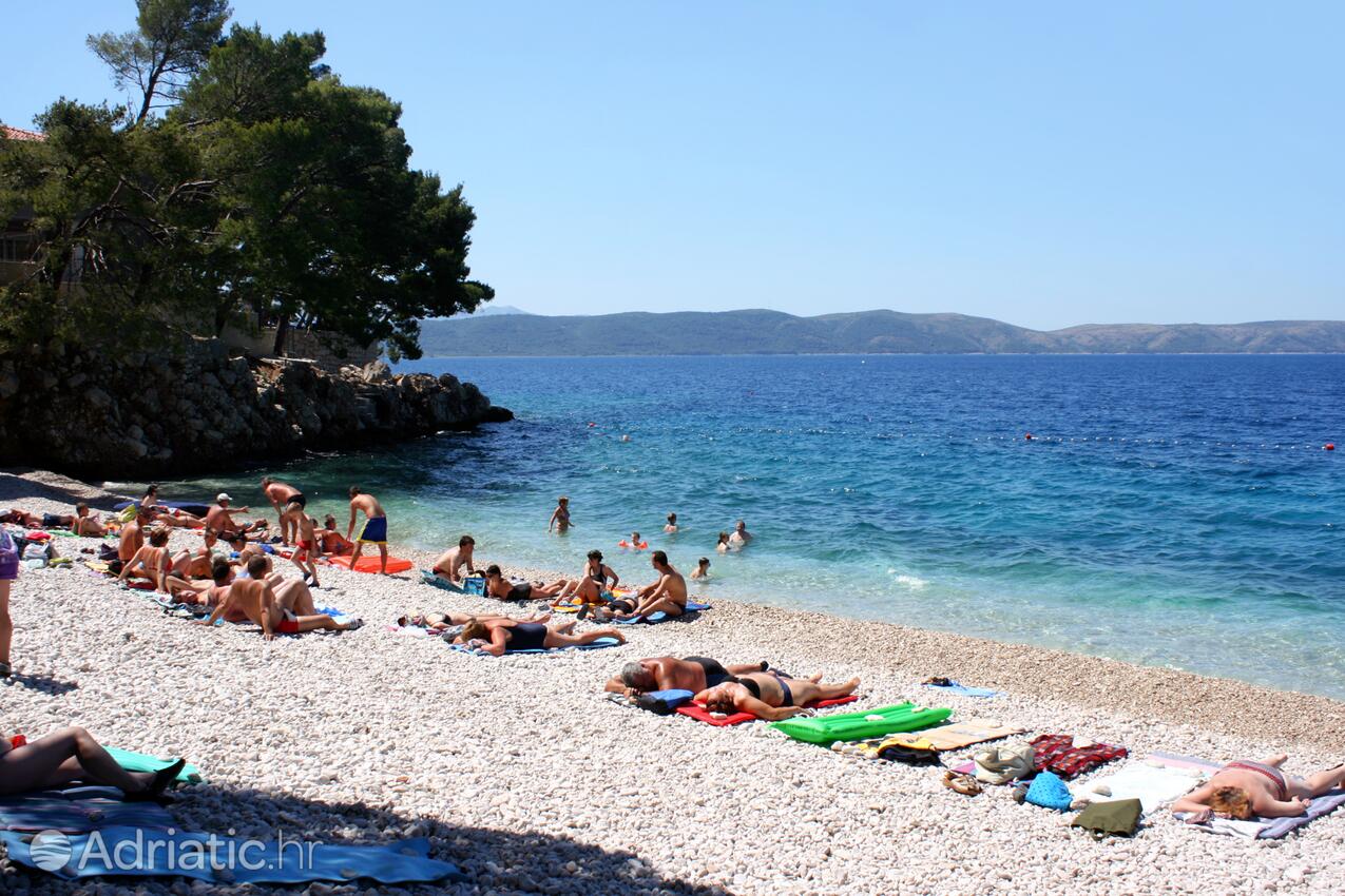 Nearest beach - Apartments by the sea Živogošće - Porat, Makarska