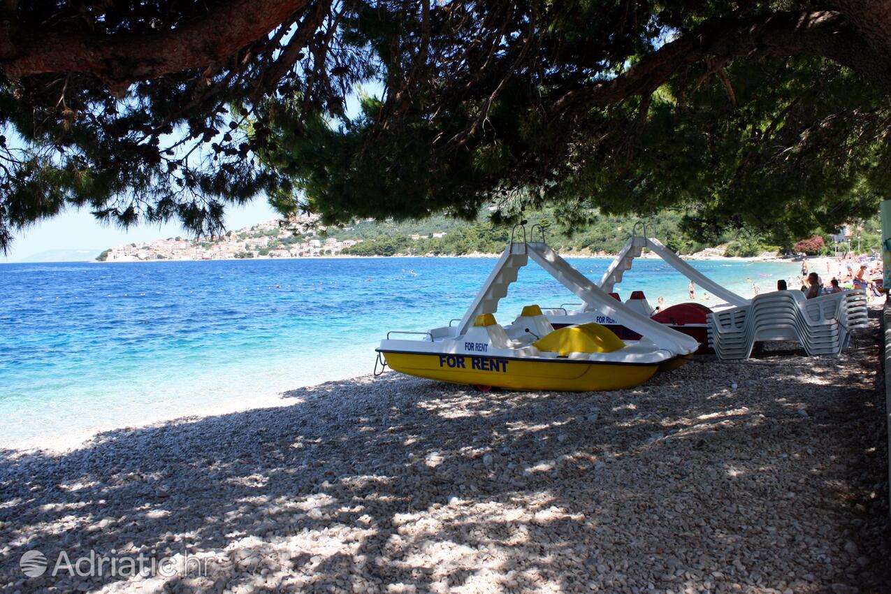 Nearest beach - Apartments by the sea Živogošće - Porat, Makarska