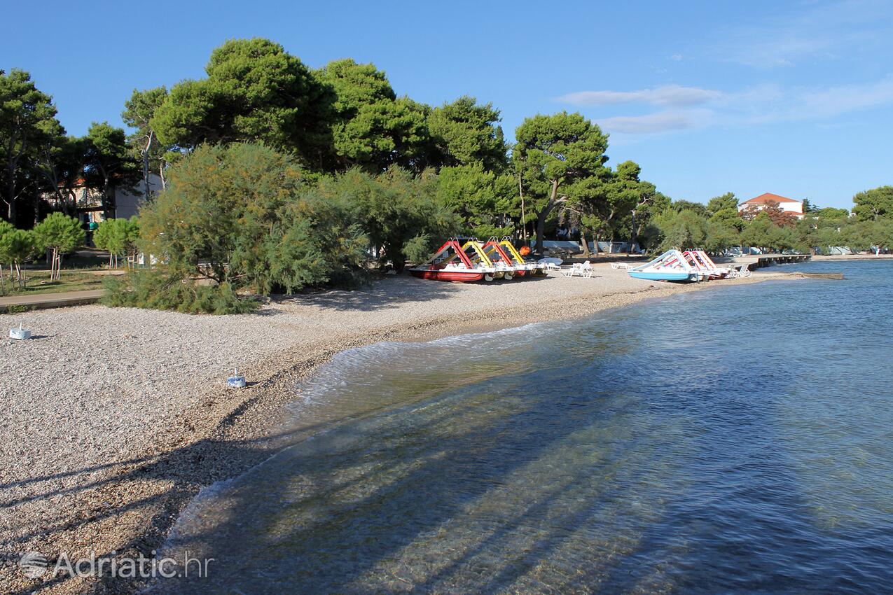 La spiaggia più vicina - Appartamenti con parcheggio San Pietro di Brazza - Supetar, Brazza - Brač