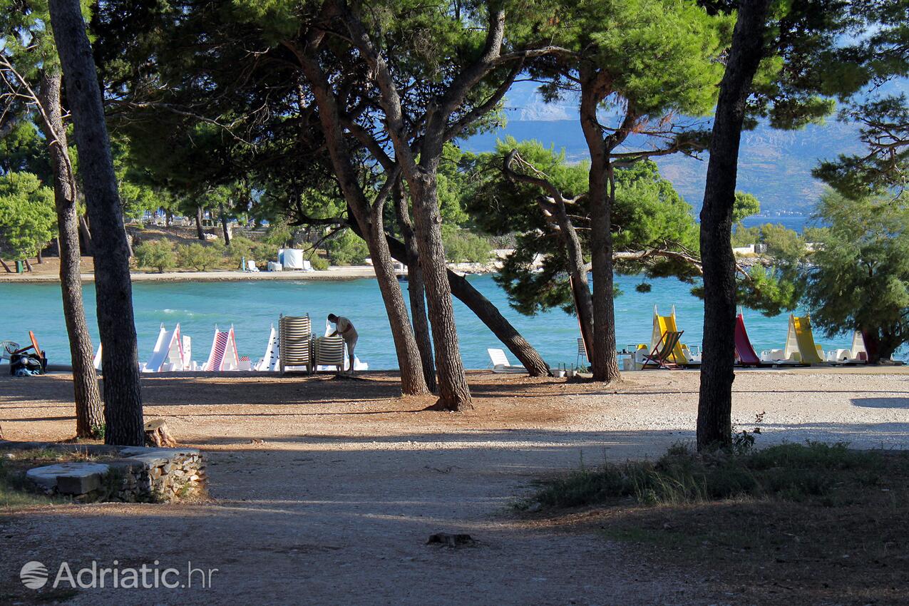 La spiaggia più vicina - Appartamenti con parcheggio San Pietro di Brazza - Supetar, Brazza - Brač