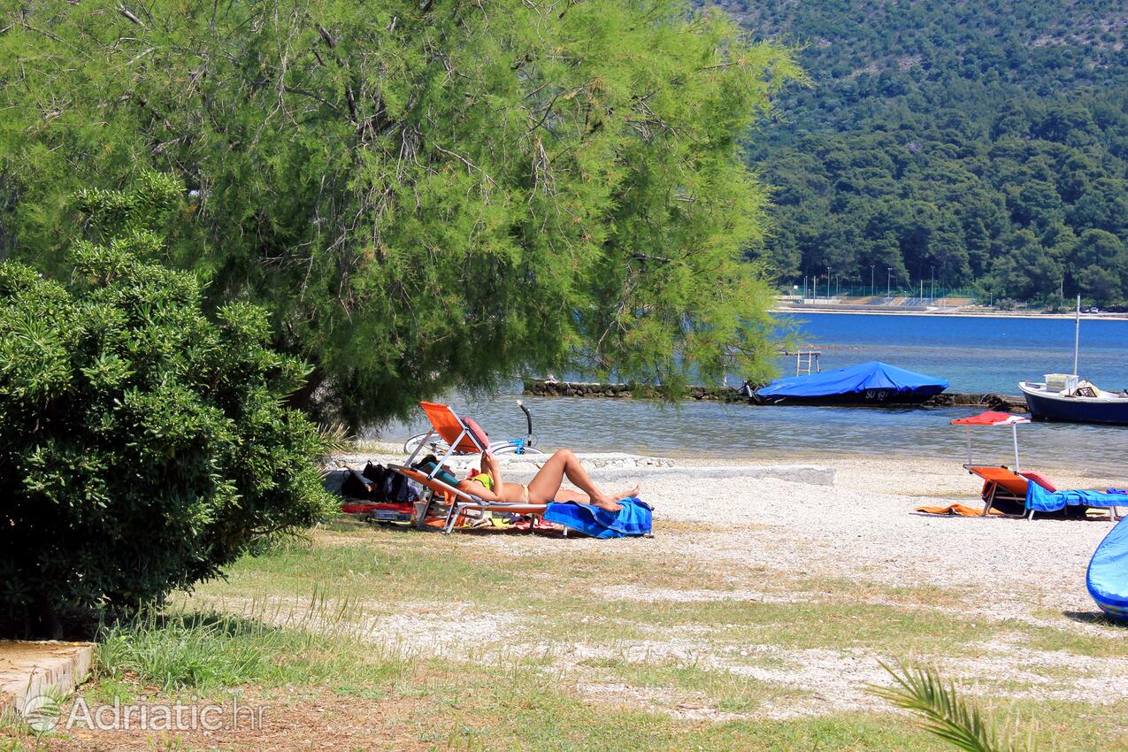 Adriatic.hr