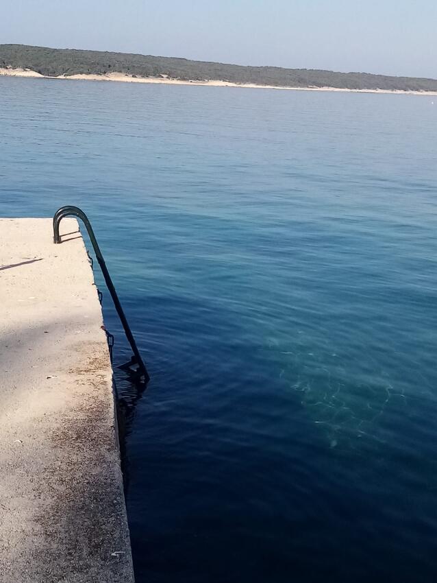Nearest beach - Apartments by the sea Supetarska Draga - Gonar, Rab