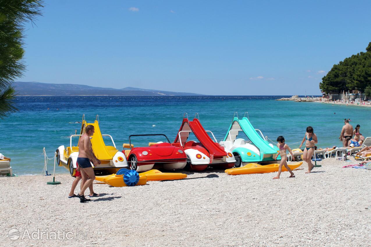 Adriatic.hr
