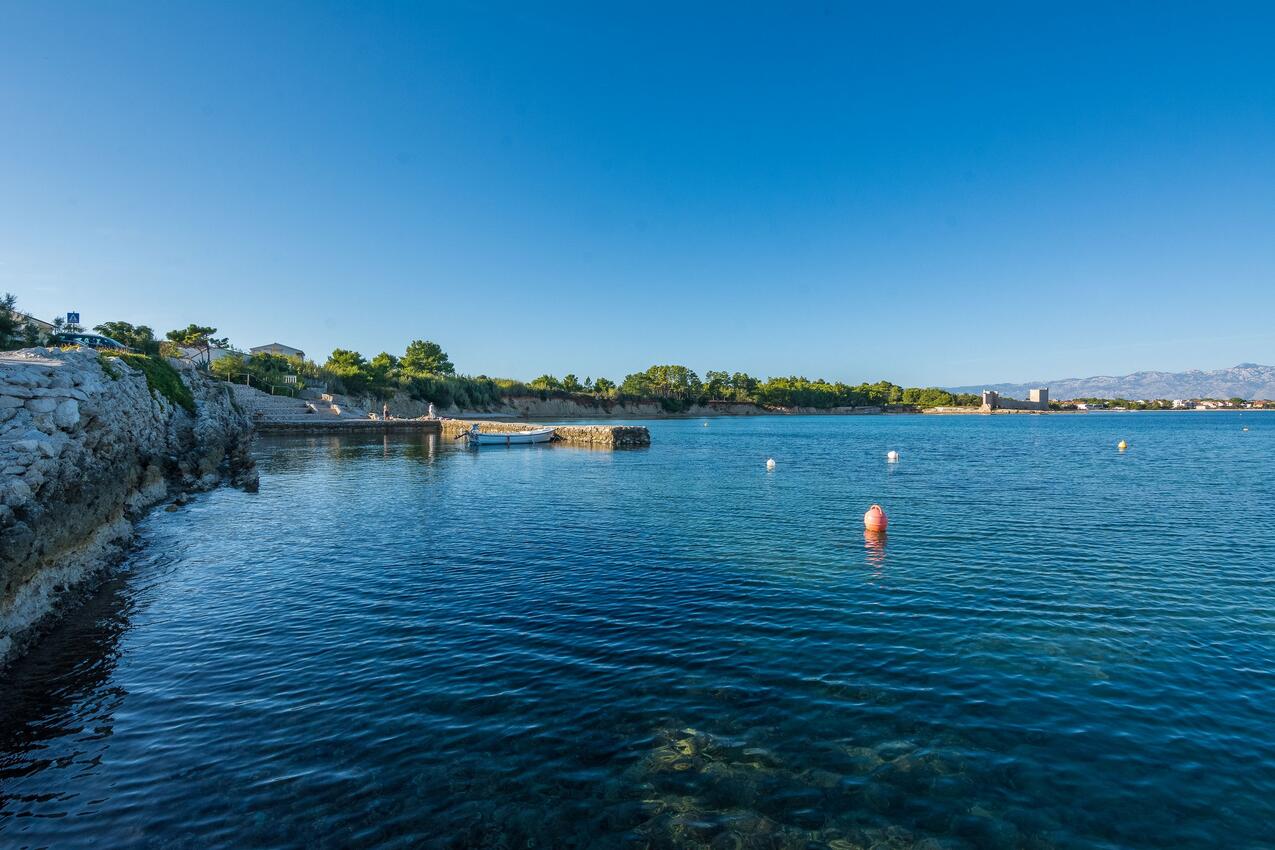 Nearest beach - Apartments by the sea Vir - Kozjak, Vir