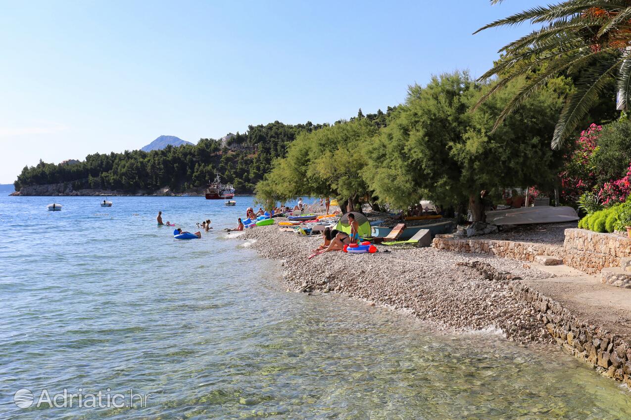 Nearest beach - Apartments with a parking space Stanići, Omiš