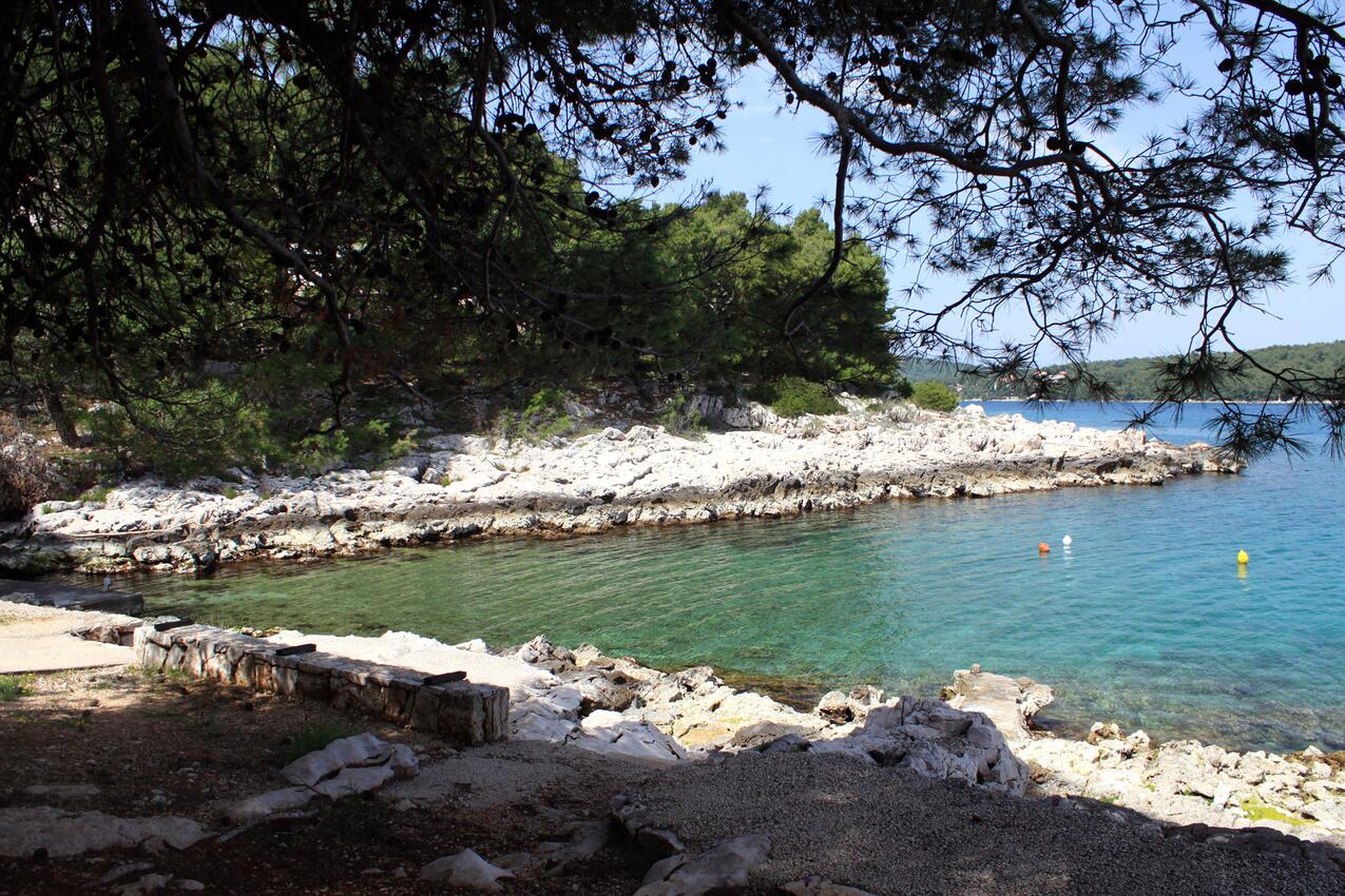 Nærmeste strand - Leiligheter ved sjøen Jelsa, Hvar