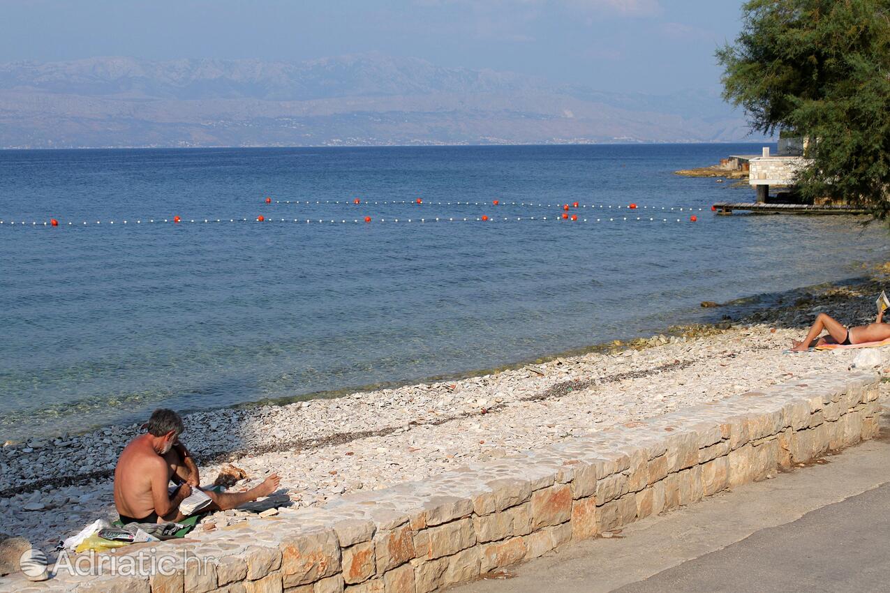 Nearest beach - Apartments with a parking space Sutivan, Brač