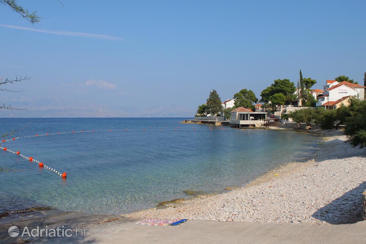 Nearest beach - Apartments with a parking space Sutivan, Brač