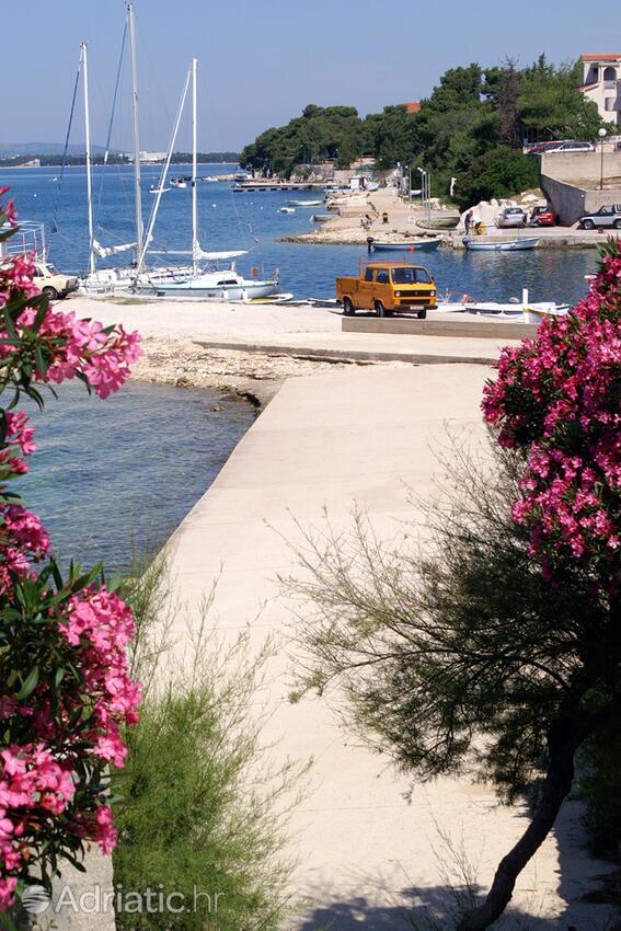 Adriatic.hr