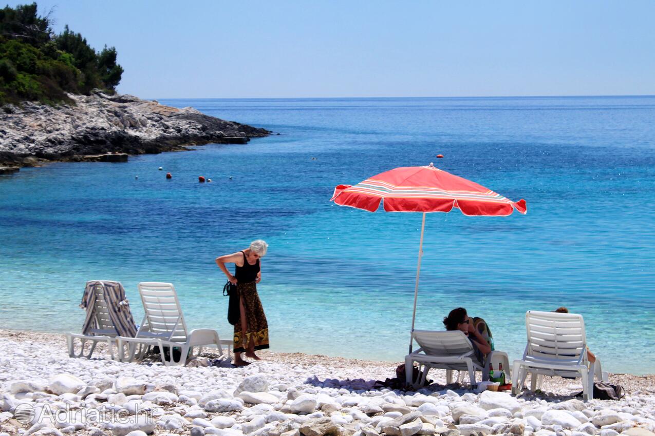 Adriatic.hr