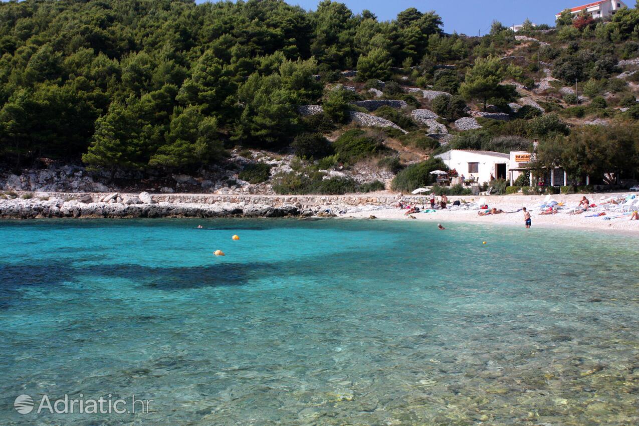 Adriatic.hr
