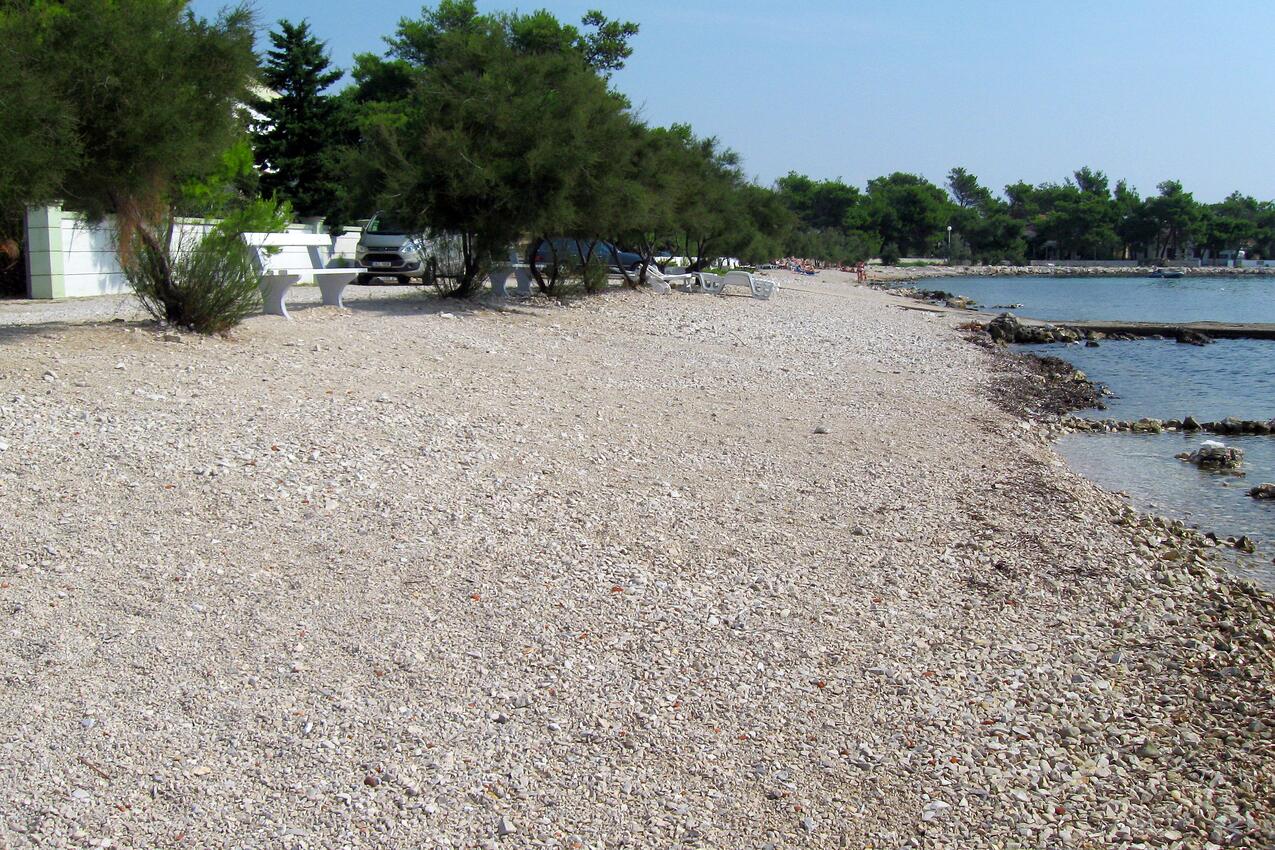 La spiaggia più vicina - Appartamenti accanto al mare Vir - Cosiacco - Vir - Kozjak, Puntadura - Vir