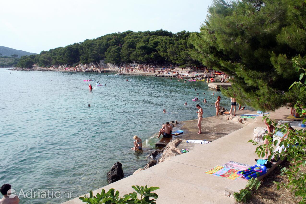 Adriatic.hr