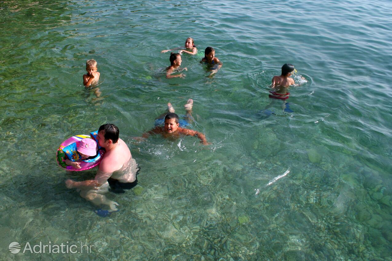 Adriatic.hr