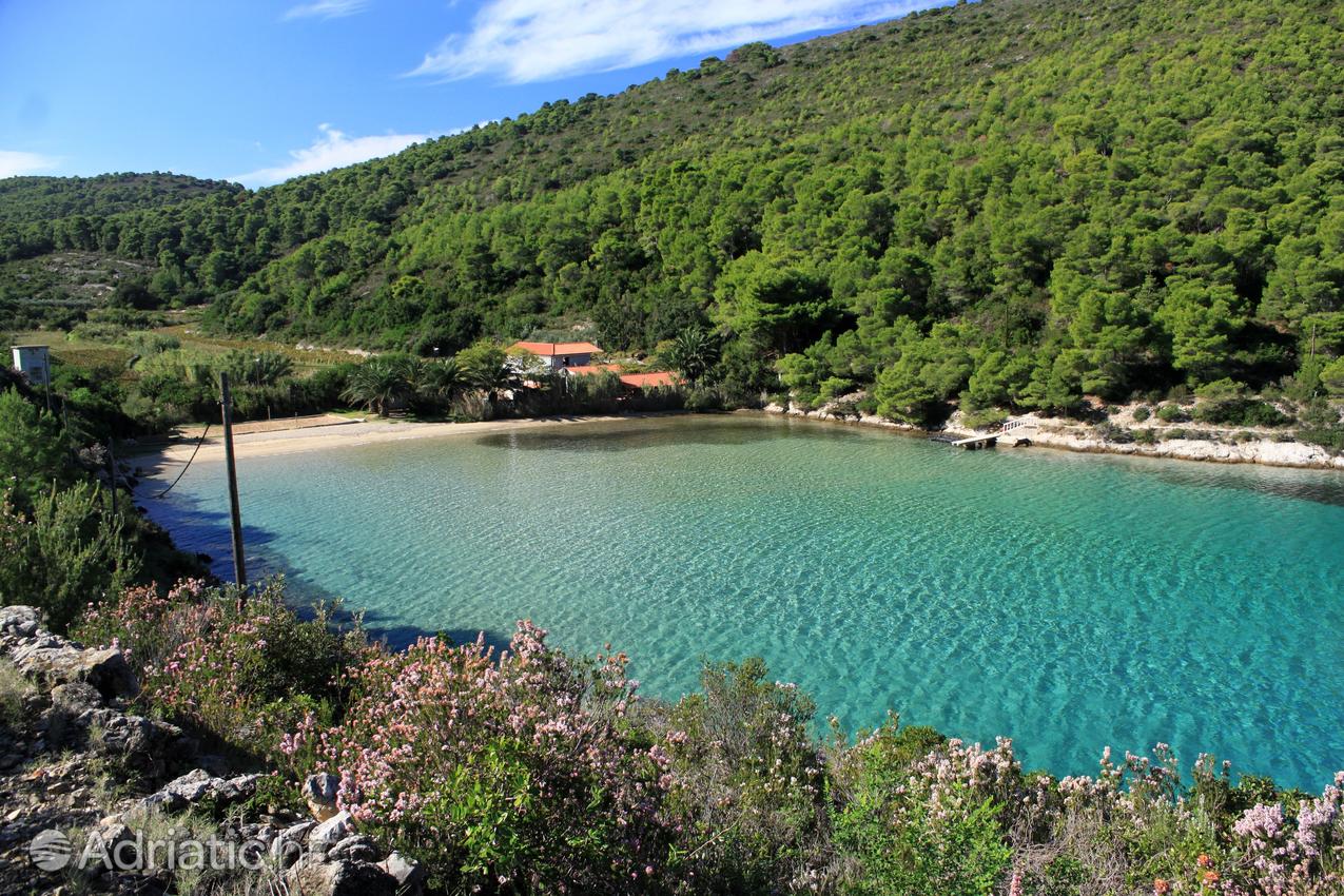 Peščene plaže