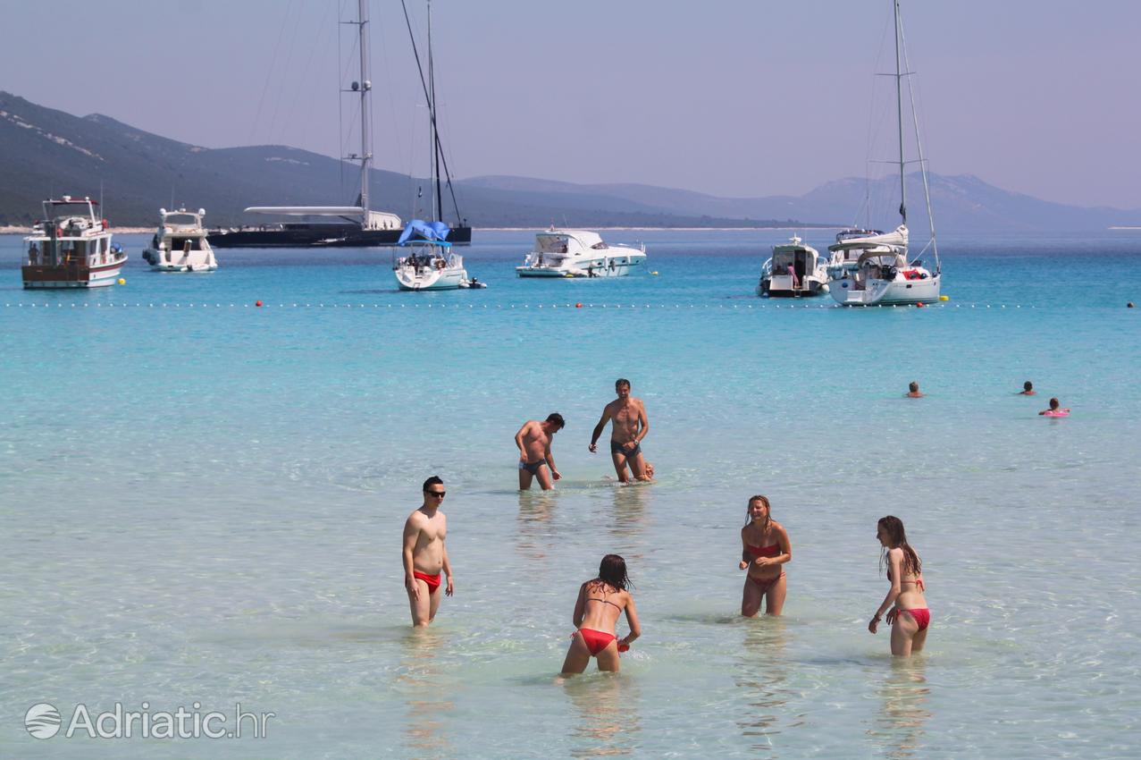 Peščene plaže