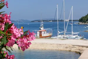 Oleander på stranden, Brodarica Brodarica Lejligheder Kroatien