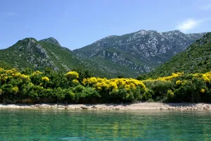 Duba Pelješka Appartementen Kroatie