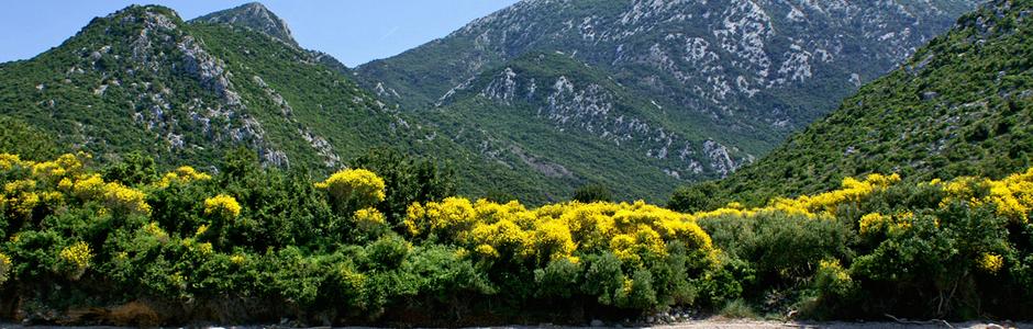 Duba Pelješka Ferienwohnungen Kroatien