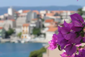 View of Igrane Igrane Croatia Apartments