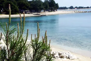 Šimuni Apartmaji Hrvaška