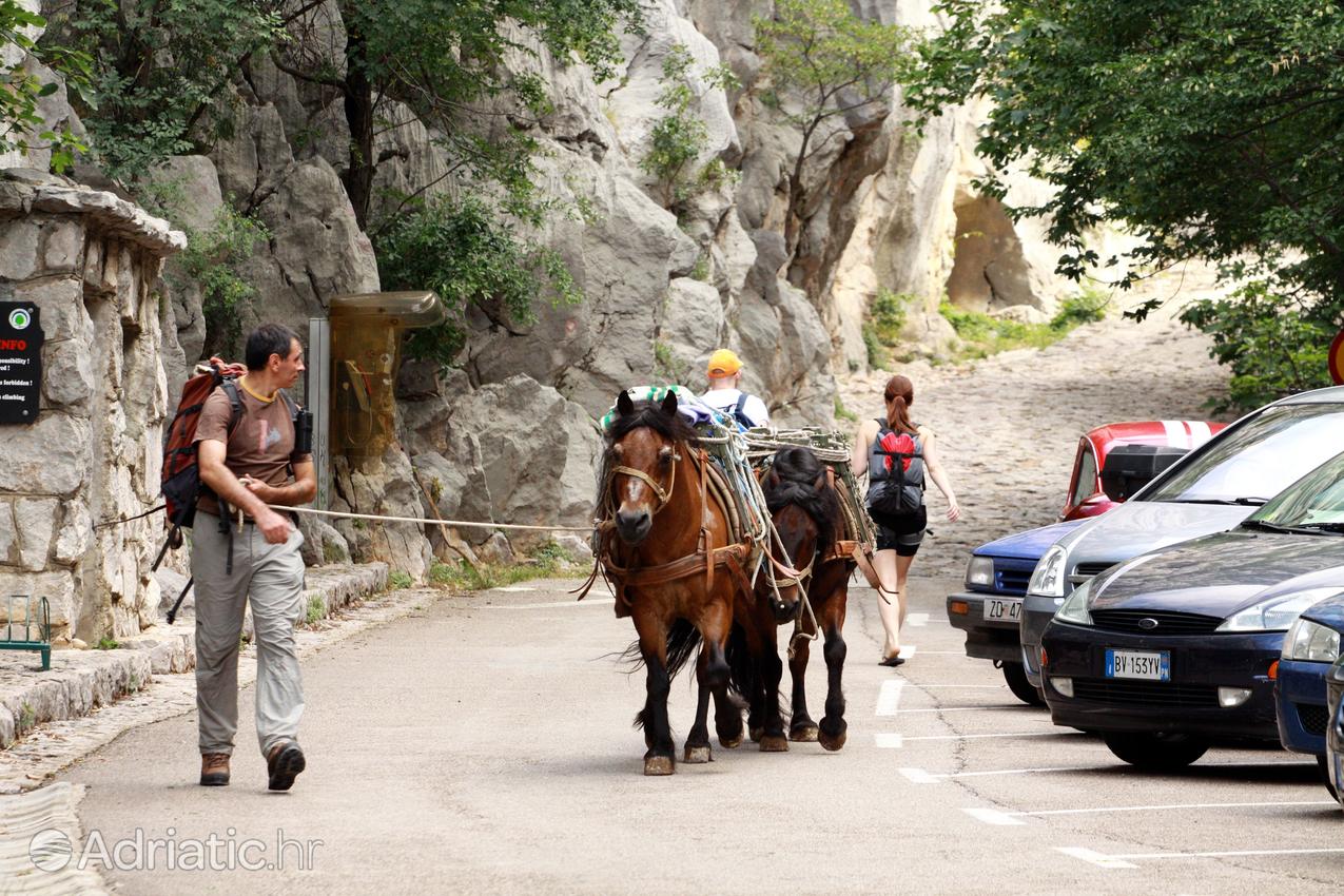 Paklenica Parque Nacional en Croacia