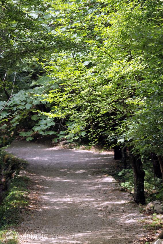 Paklenica Parque Nacional en Croacia