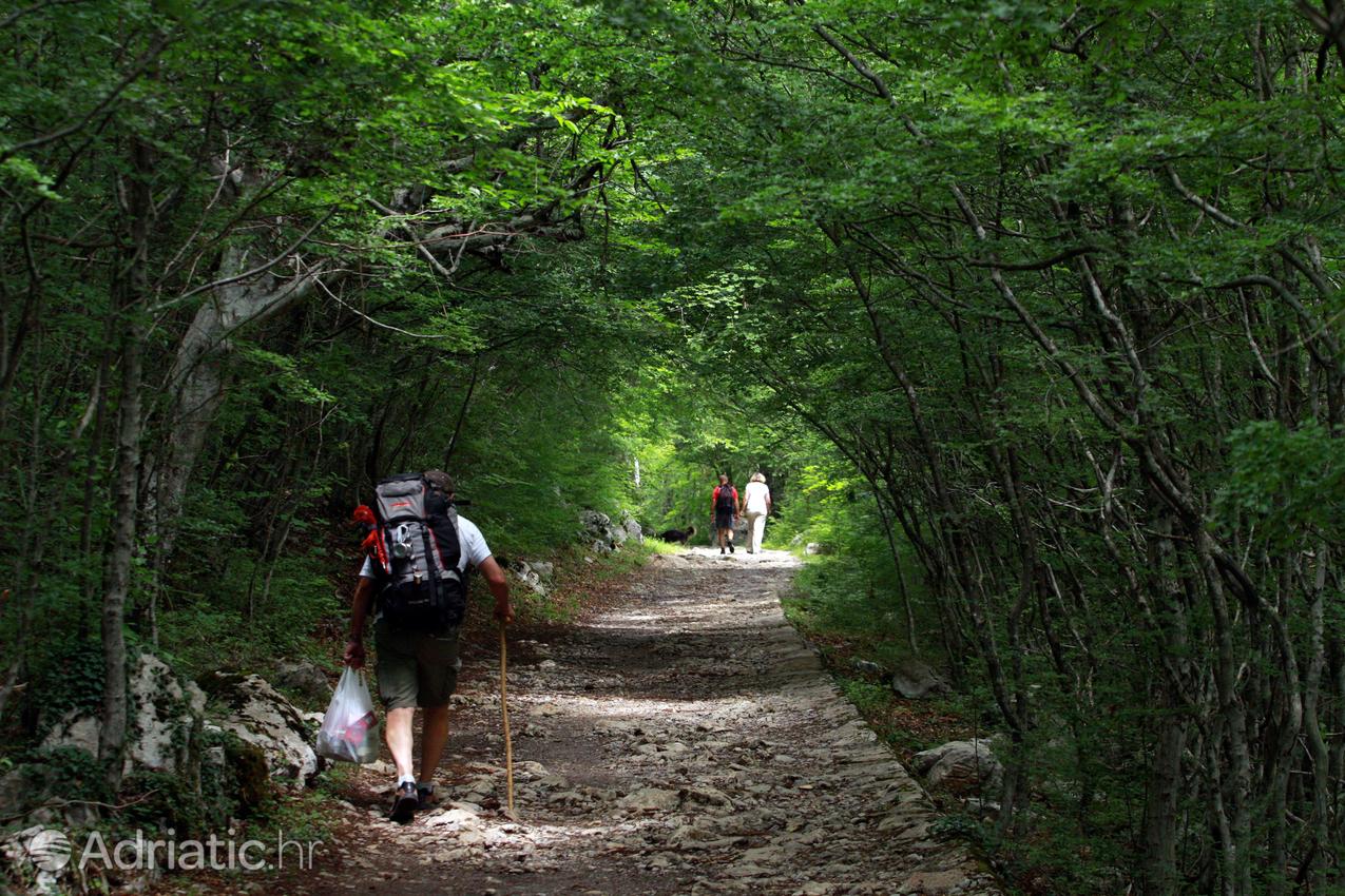 Paklenica Parque Nacional en Croacia