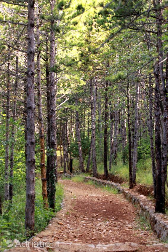 Paklenica Parque Nacional en Croacia