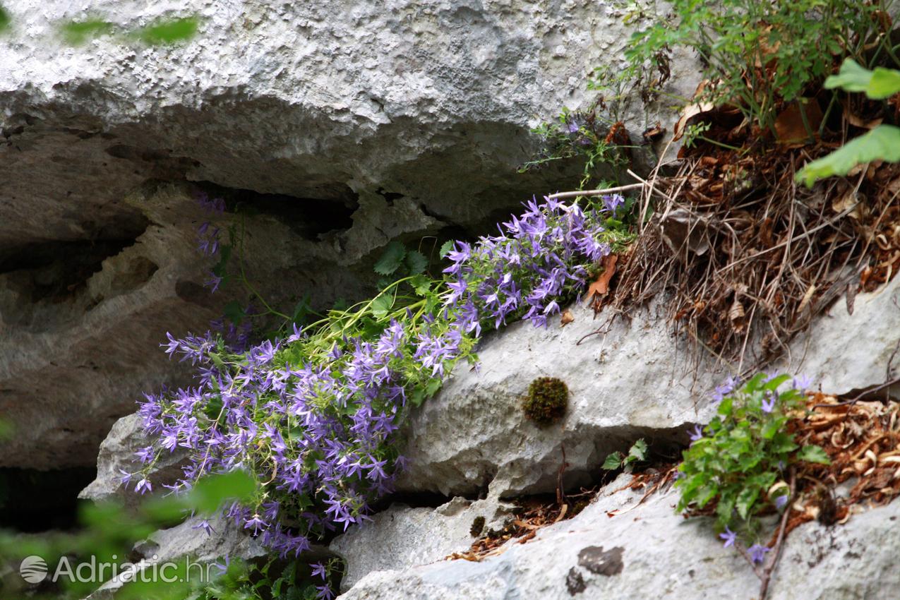 Paklenica Parque Nacional en Croacia