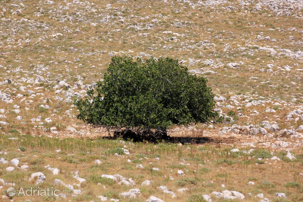 National park Kornati in Croatia