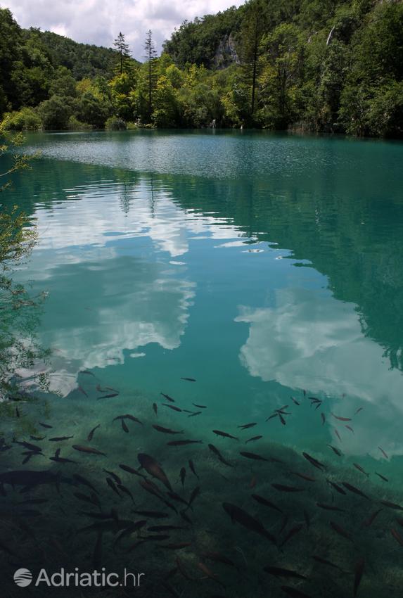 National park Plitvička jezera in Croatia