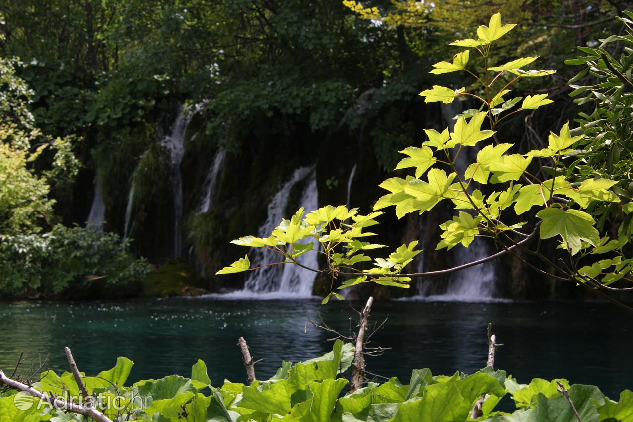 National park Plitvička jezera in Croatia