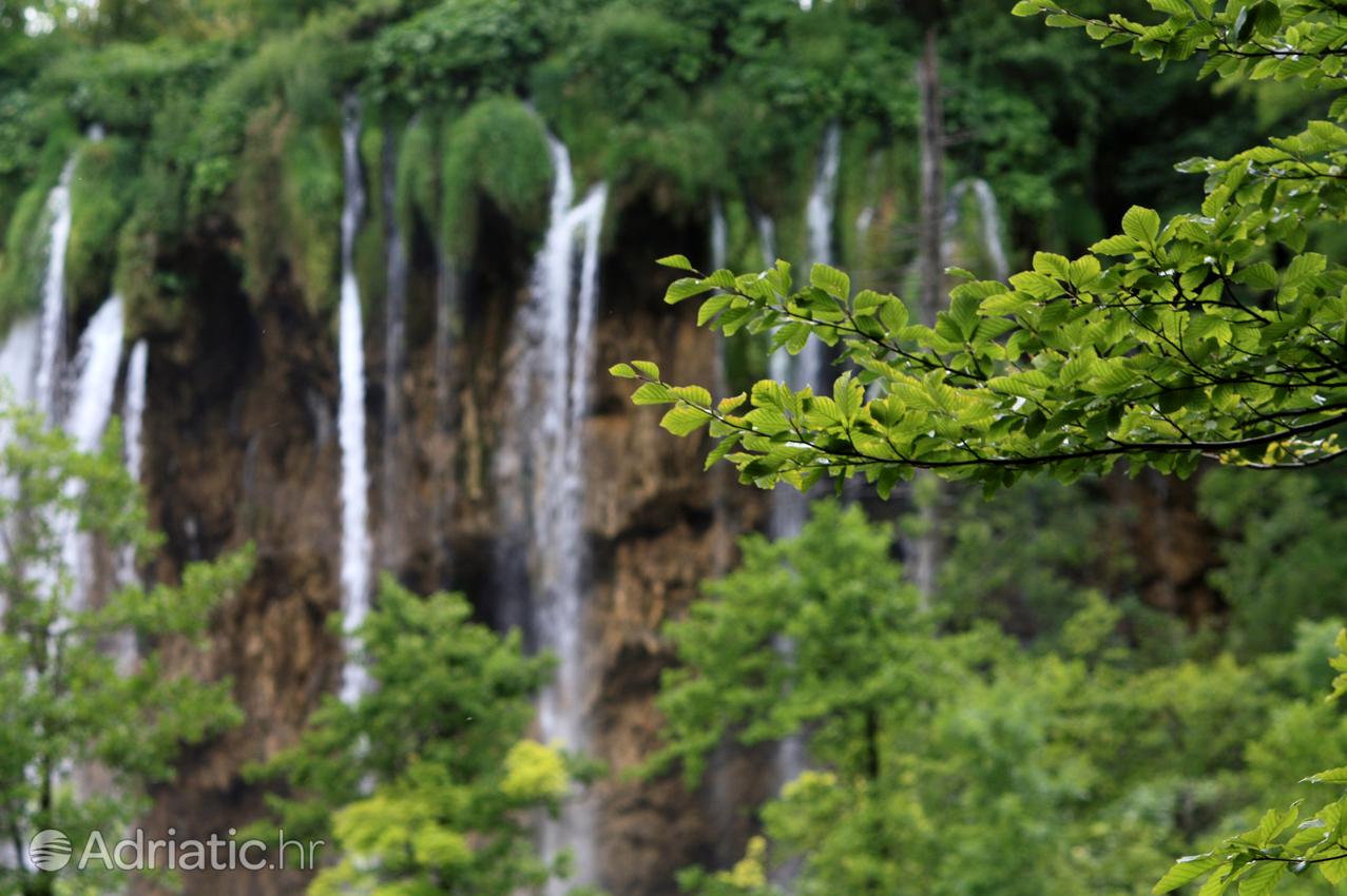 National park Plitvička jezera in Croatia