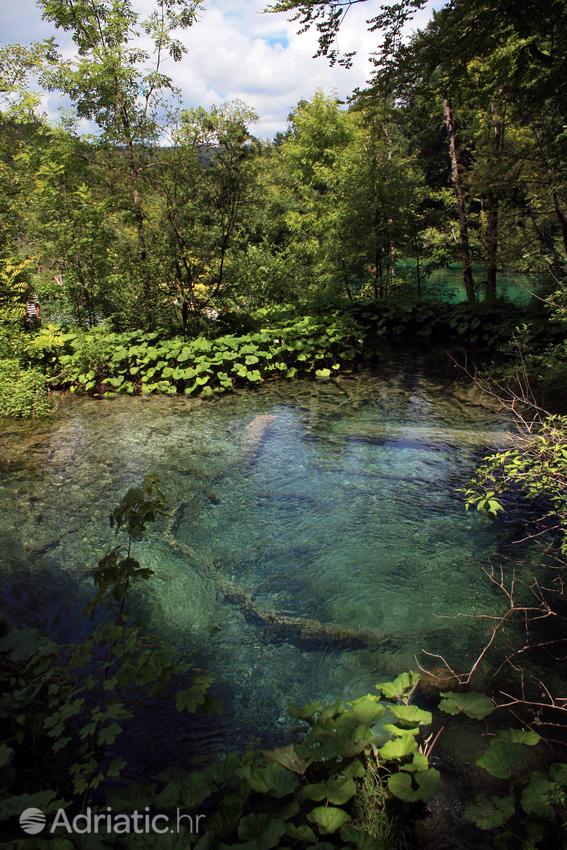 National park Plitvička jezera in Croatia