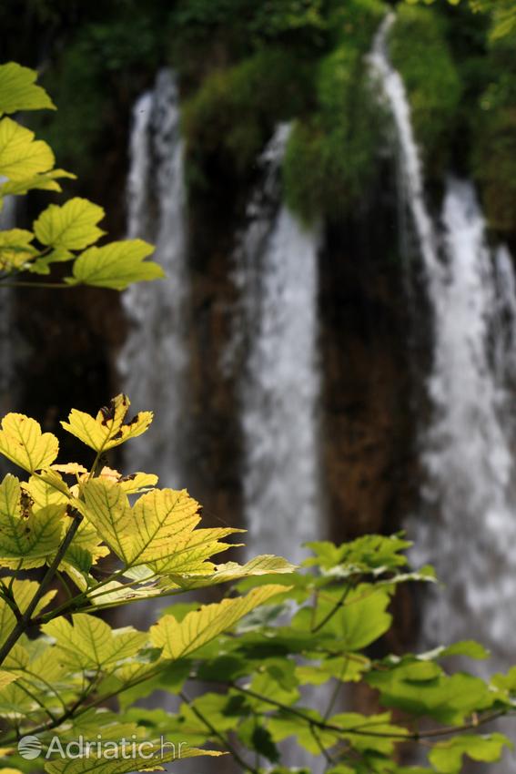 National park Plitvička jezera in Croatia