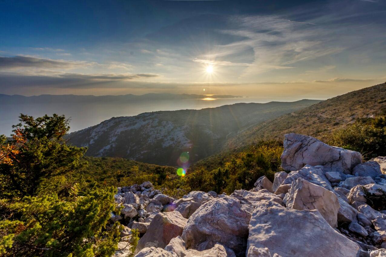 Tomislavovac na riviére Pelješac (Južna Dalmacija)