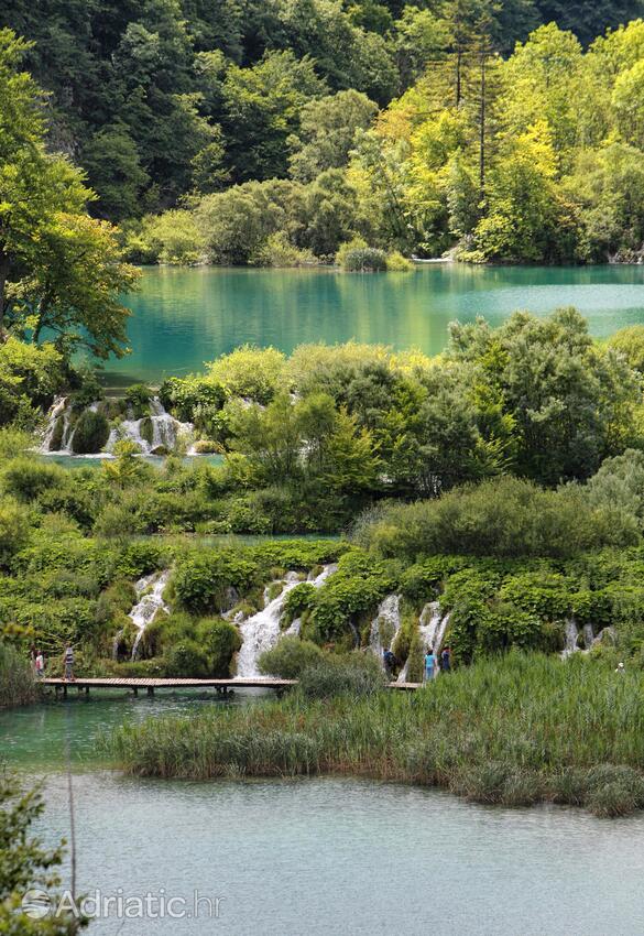 Grabovac sulla riviera Plitvice (Lika i Gorski kotar)