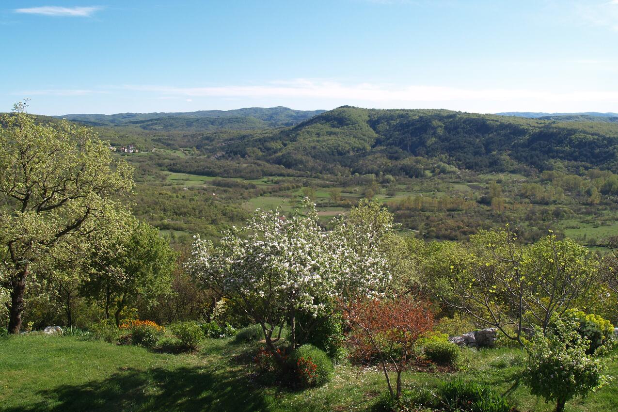 Roč riviéra Središnja Istra (Istra)